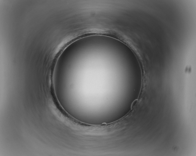 X0000112880011200908211502