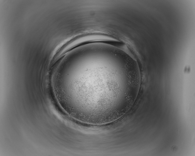 X0000112880012200908211502