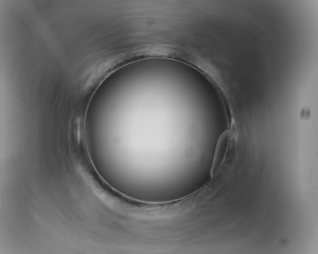 X0000112880013200908211502