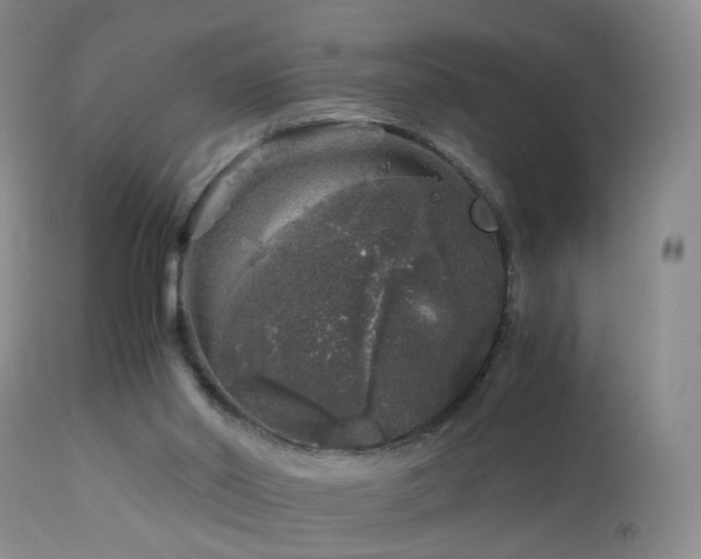 X0000112880014200908211502