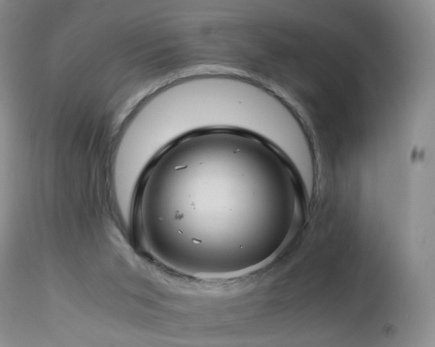 X0000112880015200908211502