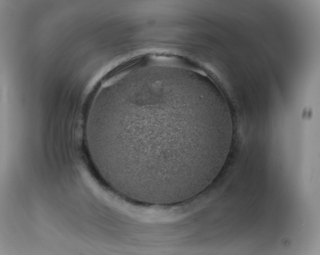 X0000112880016200908211502