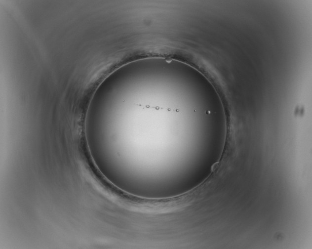 X0000112880017200908211502