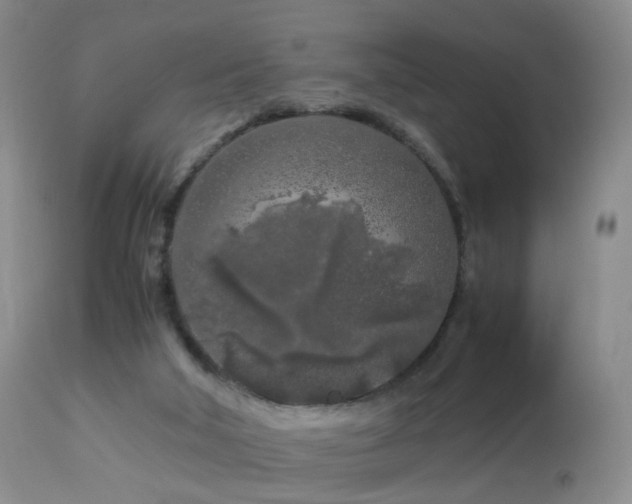 X0000112880018200908211502