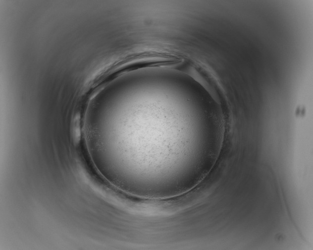 X0000112880020200908211502