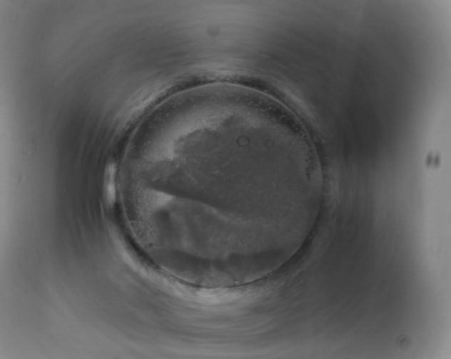 X0000112880022200908211502