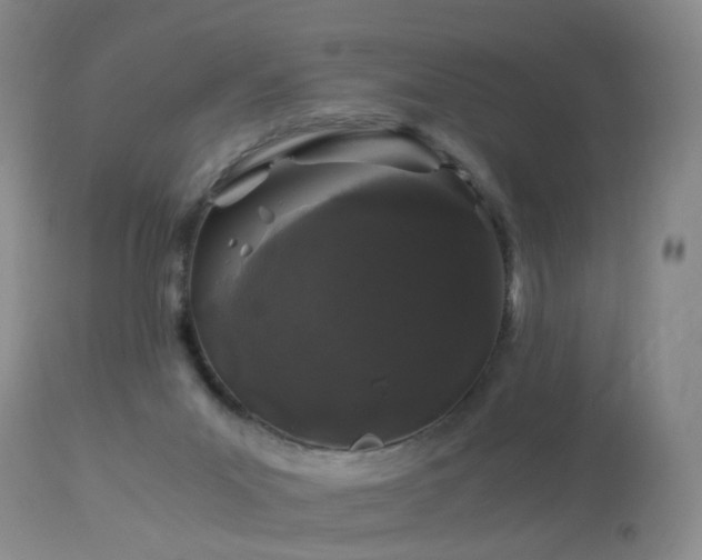 X0000112880023200908211502