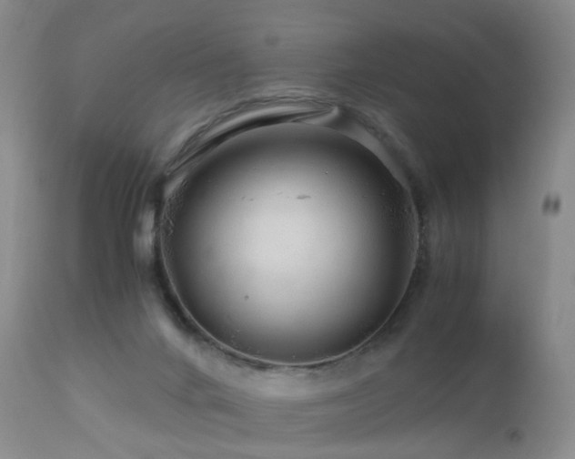 X0000112880024200908211502