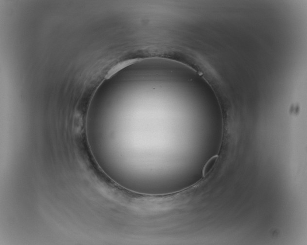 X0000112880025200908211502