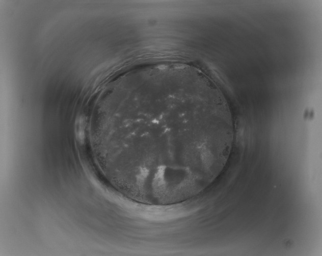 X0000112880026200908211502