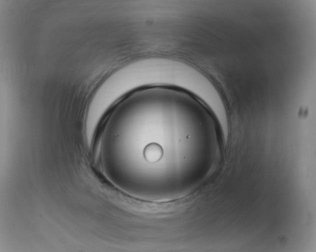 X0000112880027200908211502