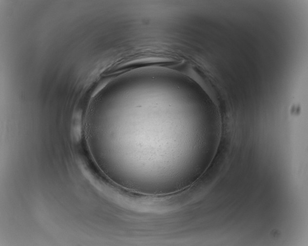 X0000112880028200908211502