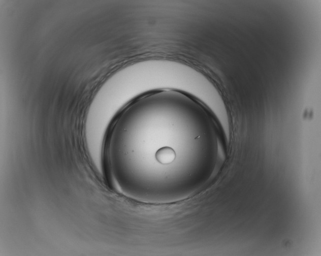 X0000112880029200908211502