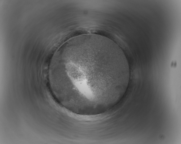 X0000112880030200908211502