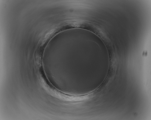 X0000112880031200908211502