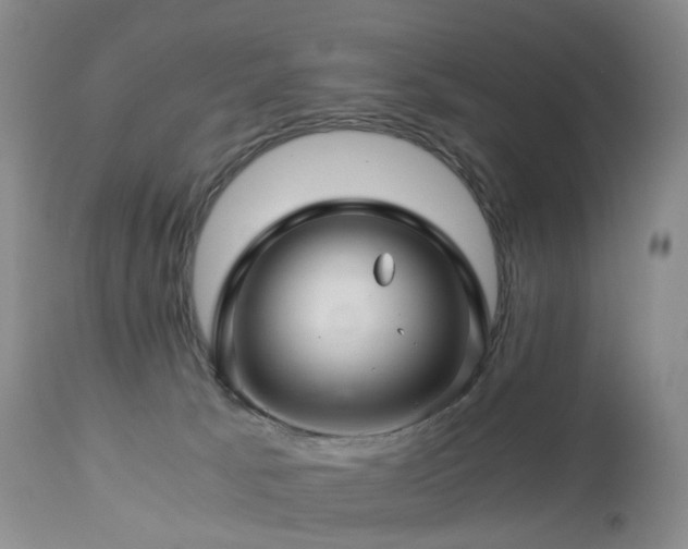 X0000112880033200908211502