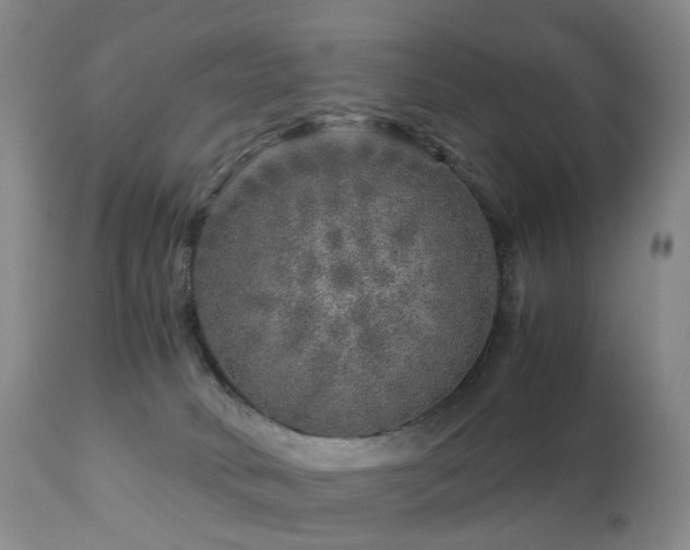 X0000112880034200908211502