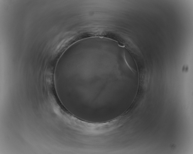 X0000112880035200908211502