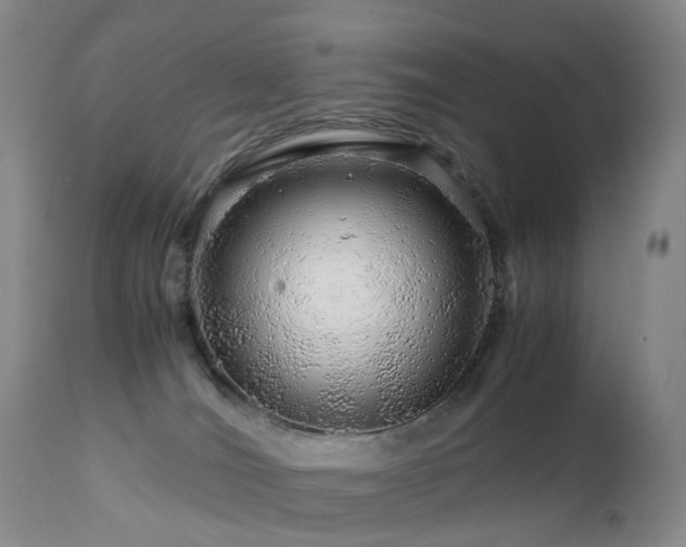 X0000112880036200908211502