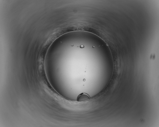 X0000112880038200908211502