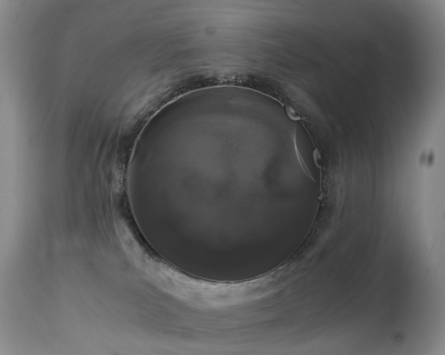 X0000112880039200908211502