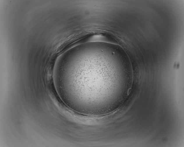 X0000112880040200908211502