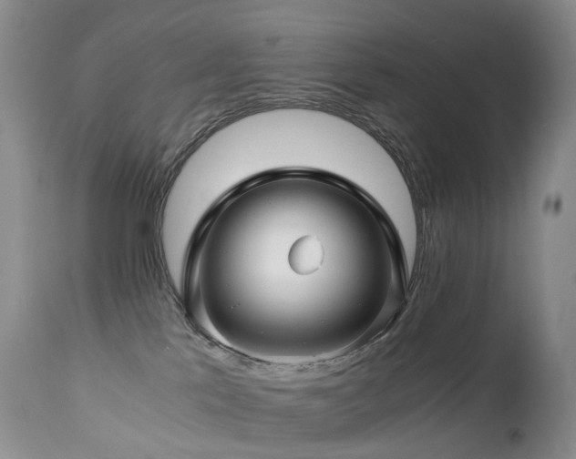 X0000112880041200908211502