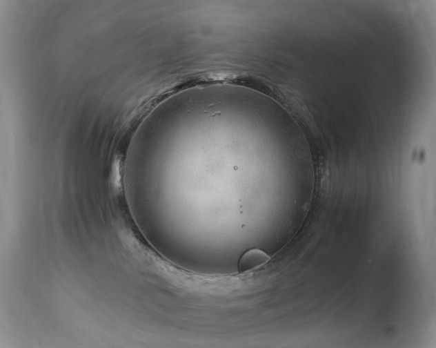 X0000112880042200908211502