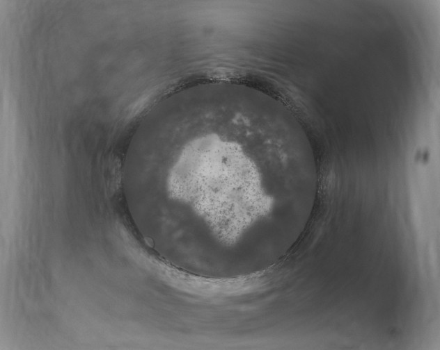 X0000112880043200908211502