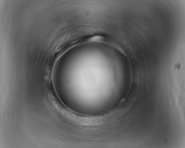 X0000112880044200908211502