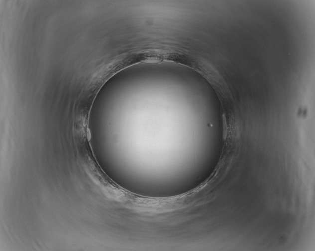 X0000112880045200908211502