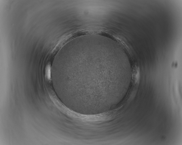 X0000112880046200908211502