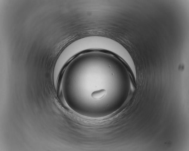 X0000112880047200908211502