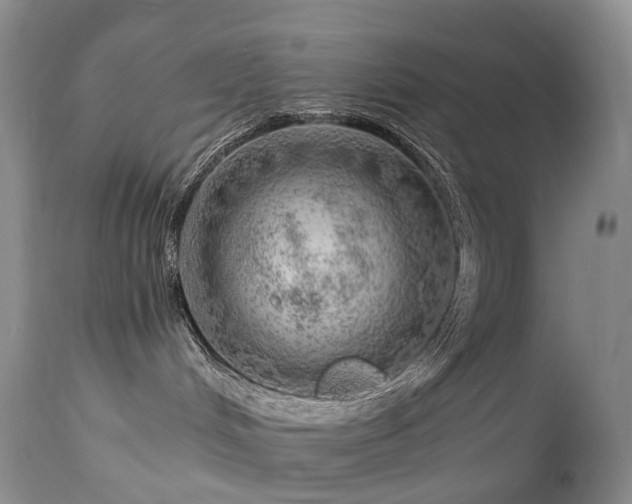 X0000112880048200908211502