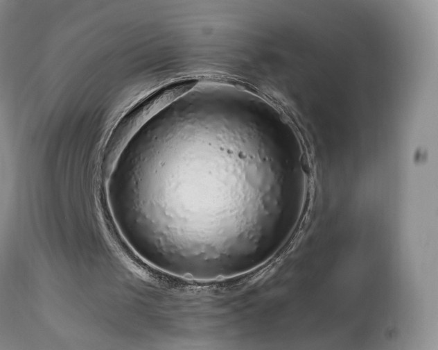 X0000112880049200908211501