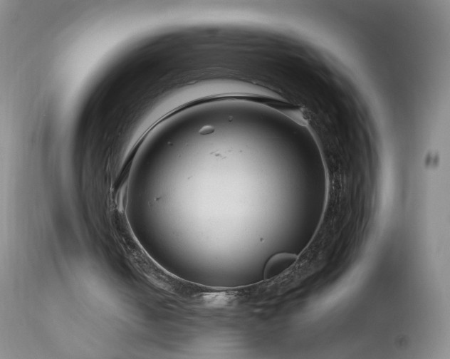 X0000112880050200908211501