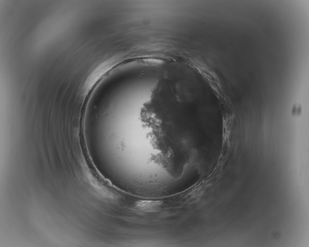 X0000112880051200908211501