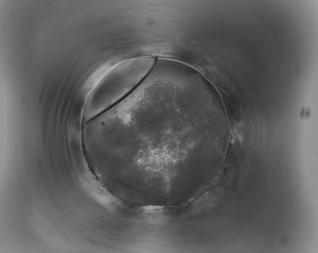 X0000112880052200908211501