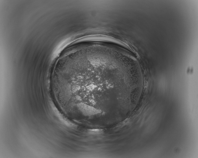 X0000112880053200908211501