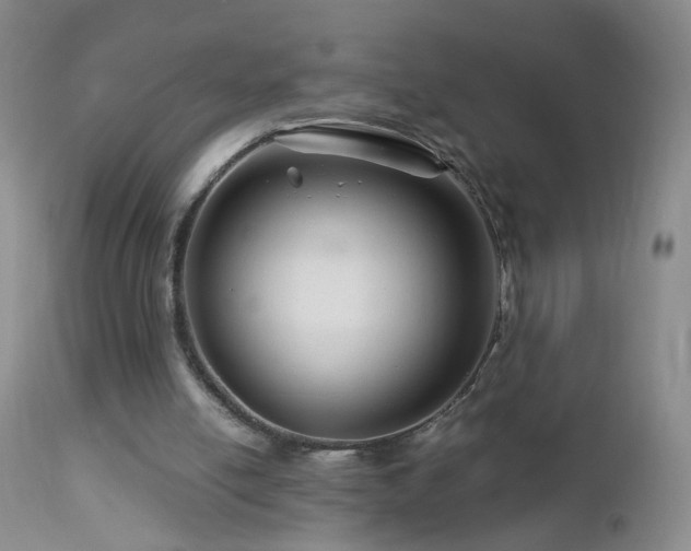 X0000112880054200908211501