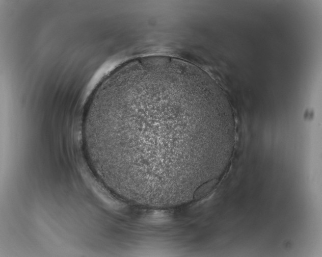 X0000112880056200908211501