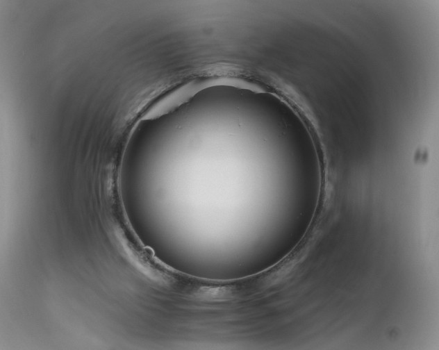 X0000112880057200908211501