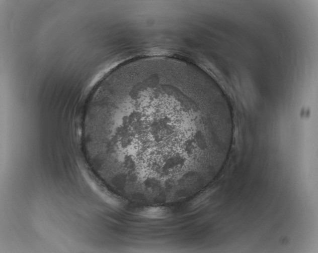 X0000112880059200908211501