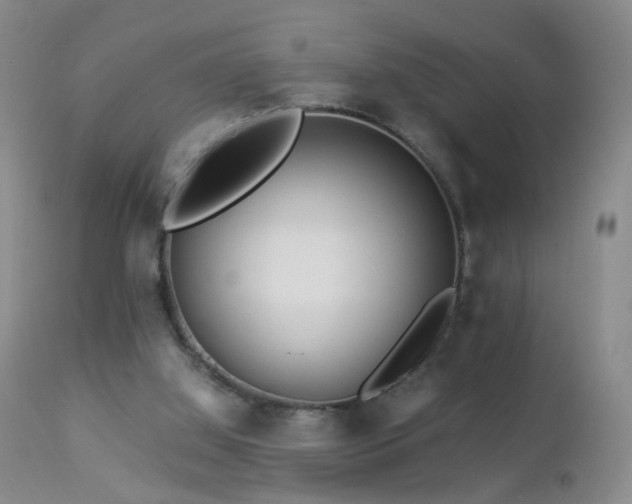 X0000112880060200908211501