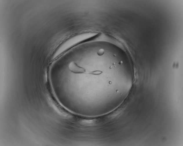 X0000112880061200908211501