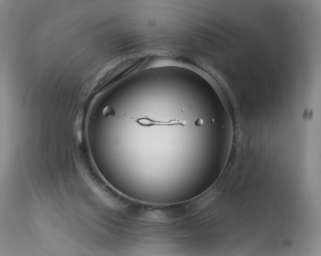 X0000112880062200908211501