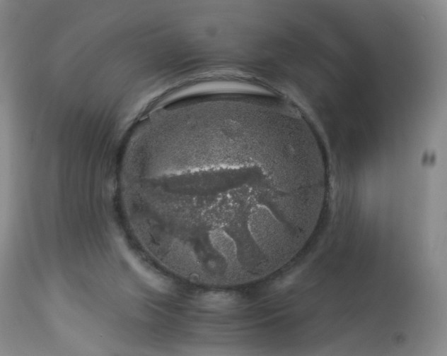 X0000112880063200908211501