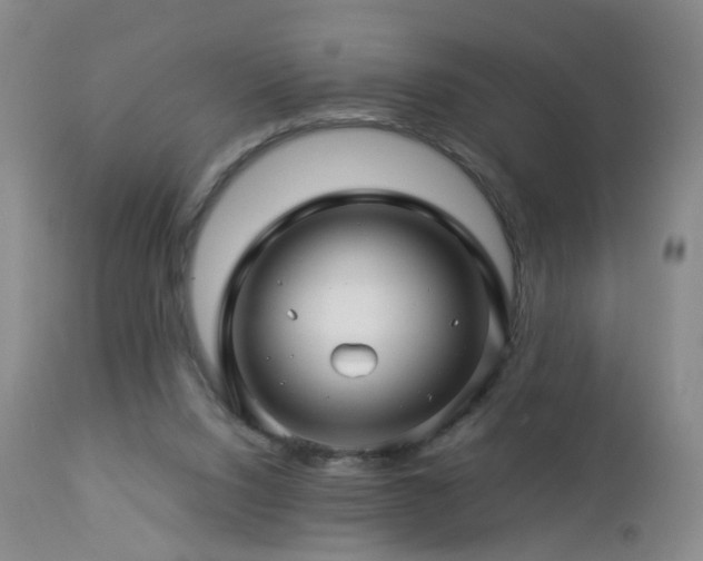 X0000112880064200908211501