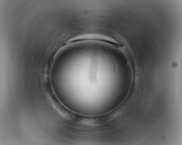 X0000112880065200908211501