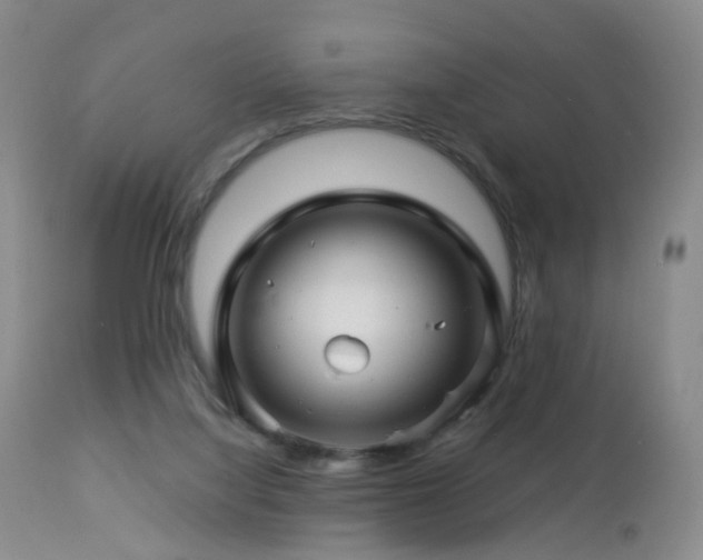 X0000112880068200908211502